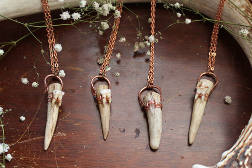 Rooted Deer Medicine - Naturally Shed Antler - Recycled Copper - Quartz