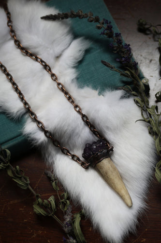 Amethyst Cluster + Antler - Deer Medicine