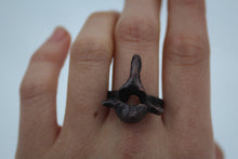 Load image into Gallery viewer, Vertebrae Rings - Ethically Sourced - Recycled Copper