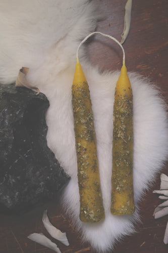 Ancestors Candle Set: White Sage + Sweet Cicely - Hand Dipped Local Beeswax | Restless Ravens Homestead