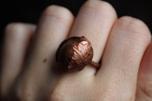 Load image into Gallery viewer, Copper Electroformed - 400 Million Year Old Fossilized Shell - Ring