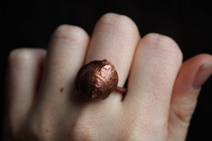 Copper Electroformed - 400 Million Year Old Fossilized Shell - Ring