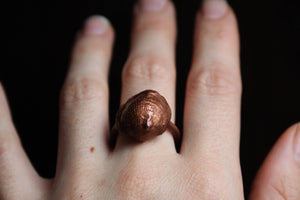 Copper Electroformed - 400 Million Year Old Fossilized Shell - Ring