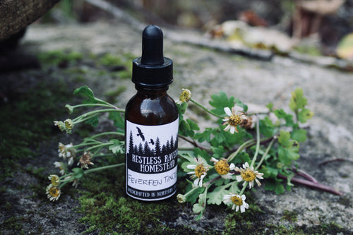 Feverfew Tincture - Migraine, Arthritis & Fever Relief | Restless Ravens Homestead