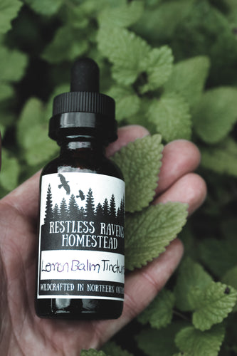 Lemon Balm - Hyperthyroidism, Anxiety, Stress, Antiviral Tincture