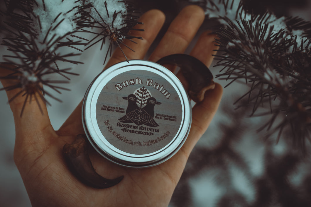 Bush Balm - Bear Fat & Conifer Pitch Salve | Restless Ravens Homestead