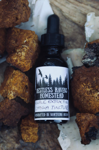 Chaga Tincture Double Extraction - Immune Function & Inflammation | Restless Ravens Homestead