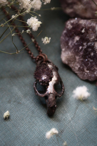 Real Electroformed Vole Skull with Thunder Bay Amethyst