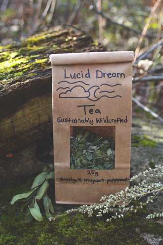 Lucid Dream Tea - Wildcrafted - Small Batch | Restless Ravens Homestead